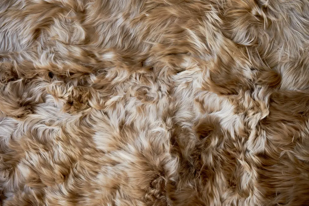 Alpaca Textures